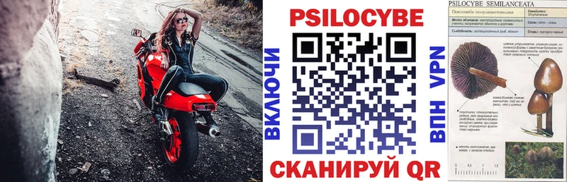 Купить закладки  Челябинск  Галлюциногенные грибы MAGIC MUSHROOMS